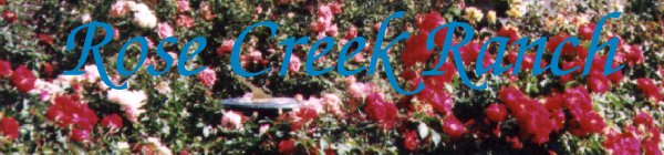 Rose Creek Logo